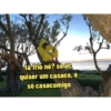 tá frio né? se vc quiser um casaco, é só casacomigo