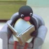 Pingu  22