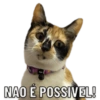 Pya NAO É POSSIVEL!