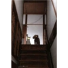 Memes animais 21