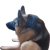 Reações duvidosas  9