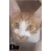 Ehe