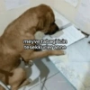 Türkçe meme #1 6
