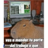 vas a mandar tu parte Stickdel trabajo o que