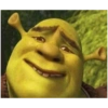 Shrek memes 13