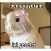 Yupsi2 16