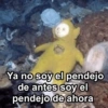 Estás bien pendejo 🥴 6