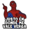 JUSTO EN DONDE ME VALE VERGA