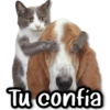 🥷🏻 Stickers de Todo #9 🥷🏻 13