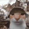 Más gatos tonotos 13