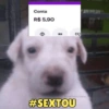 Conta R$ 5,90 68 @meltedvideos #SEXTOU