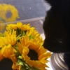 Flores amarillas 💛 8
