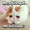 Me equivoqué me disculpas?