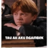 Harry Potter Indonesia 12