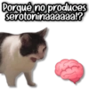 Porqué no produces serotoninaaaaaa!?