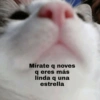 Michis con frases UwU🐱🍭🍨 11