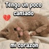 Tengo un poco cansado mi corazón