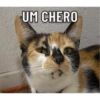 UM CHERO