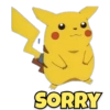 SORRY
