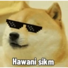 Küfürlü 22
