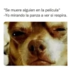 Memes en tendencia 01 ✨🔥 29