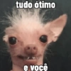 tudo ótimo e você