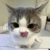 @sono_petrikov 10