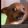 Aleatório  8
