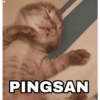 PINGSAN