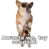 baewho Awanta wę, toy ocupado