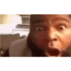 Shitpost 2 XD 11