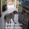 Cada día Cada día más esquizofrénico
