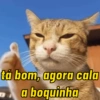 RESPOSTAS IRÔNICAS 7