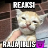 Meme Kucing #5 6