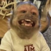 Macaquinhos reagindo  12