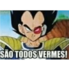 SÃO TODOS VERMES!