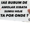 Sabor  7
