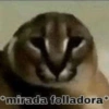 *mirada folladora