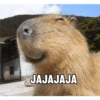 JAJAJAJA