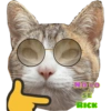 Miaufry Amante 20
