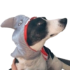 Bruce Wayne Dog 13