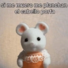 🚨RANDOM para ti 😎🫵🏻 13