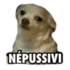 NÉPUSSIVI