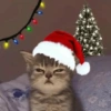 Memes de Natal 🔝 8