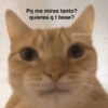 Pq me miras tanto? quieres q t bese? amame.xfi
