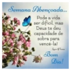 Semana Abençoada... Pode a vida ser difícil, mas Deus te deu capacidade de sobra para vencê-la! Laços & Versos Bom Dia!