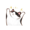 Kucing oyen 9
