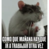 Memes en tendencia 01 ✨🔥 17