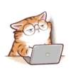 Kucing oyen 16