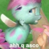 ahh q asco